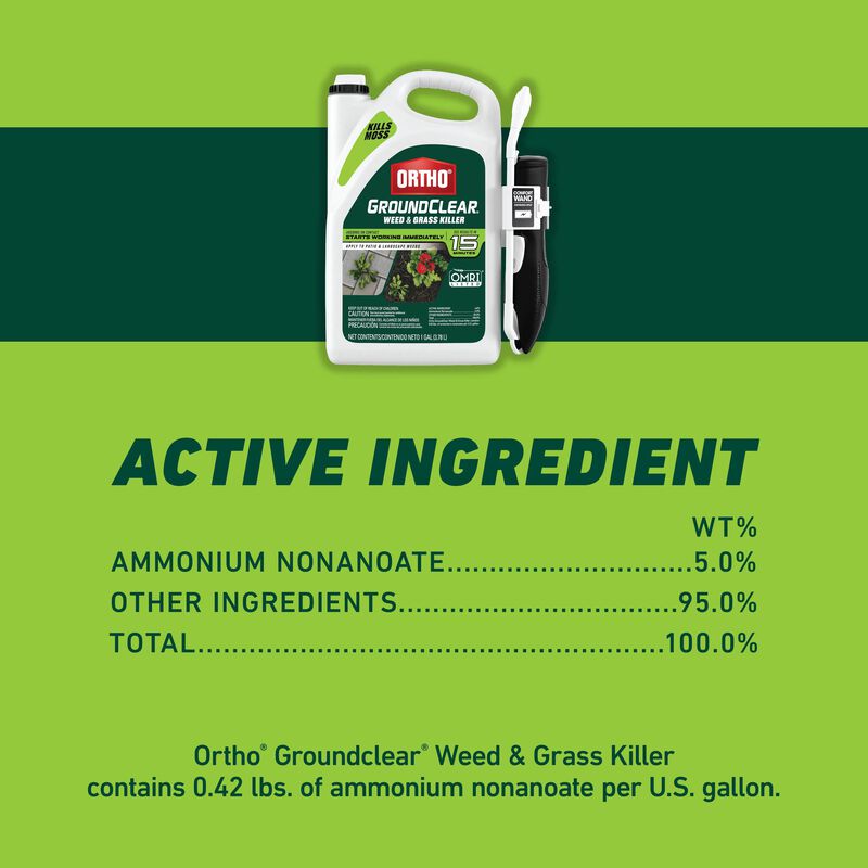 Ortho&reg; GroundClear&reg; Weed & Grass Killer with Comfort Wand&reg; image number null